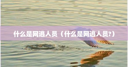 什么是网逃人员（什么是网逃人员?）