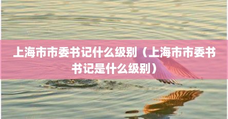 上海市市委书记什么级别（上海市市委书书记是什么级别）
