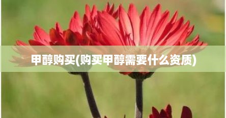 甲醇购买(购买甲醇需要什么资质)