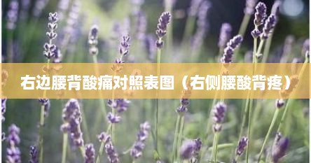 右边腰背酸痛对照表图（右侧腰酸背疼）