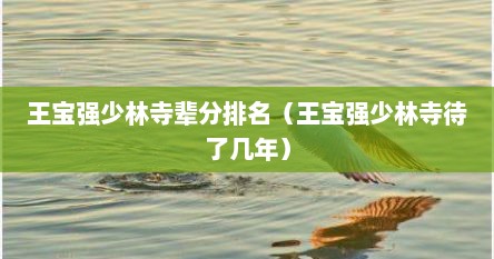 王宝强少林寺辈分排名（王宝强少林寺待了几年）