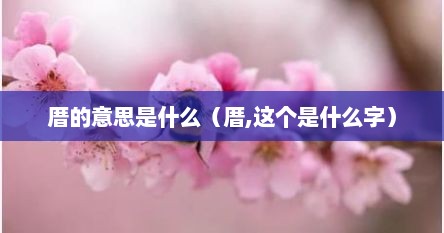 厝的意思是什么（厝,这个是什么字）
