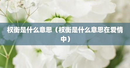 权衡是什么意思（权衡是什么意思在爱情中）