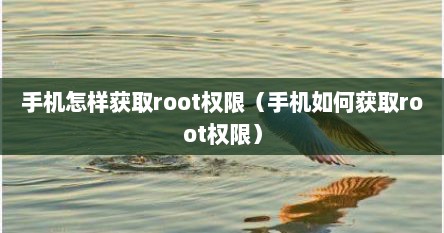 手机怎样获取root权限（手机如何获取root权限）