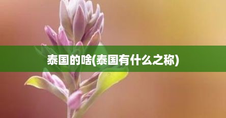 泰国的啥(泰国有什么之称)