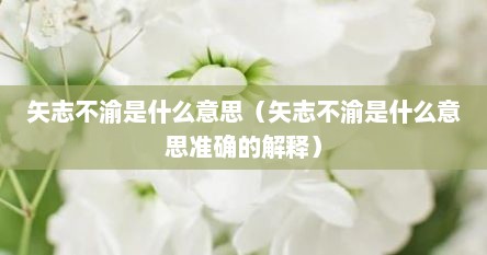 矢志不渝是什么意思（矢志不渝是什么意思准确的解释）