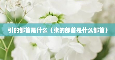 引的部首是什么（张的部首是什么部首）