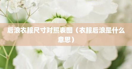 后浪衣服尺寸对照表图（衣服后浪是什么意思）