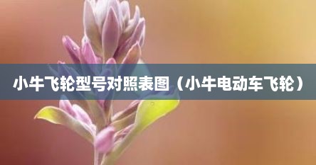 小牛飞轮型号对照表图(小牛电动车飞轮)