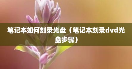 笔记本茹何刻录光盘（笔记本刻录dvd光盘步骤）