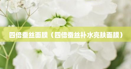 四倍蚕丝面膜（四倍蚕丝补水亮肤面膜）