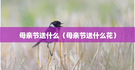 母亲节送什么（母亲节送什么花）