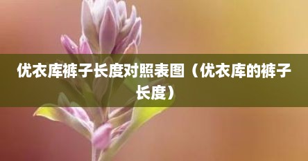 优衣库裤子长度对照表图（优衣库的裤子长度）