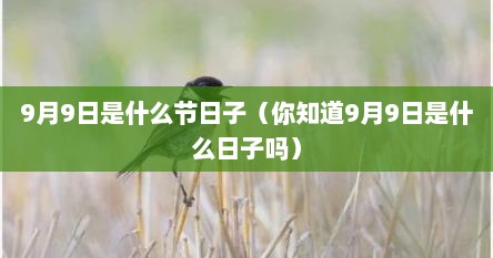 9月9日是什么节日子（你知道9月9日是什么日子吗）