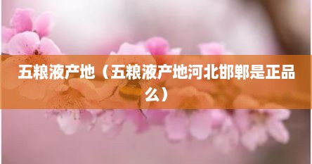 五粮液产地（五粮液产地河北邯郸是正品么）