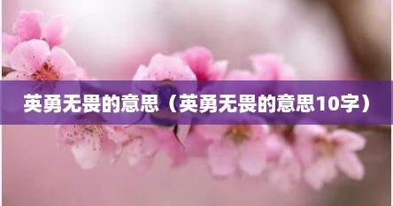 英勇无畏的意思（英勇无畏的意思10字）
