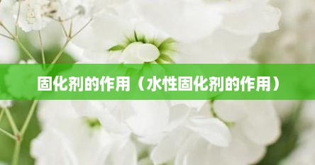 固化剂的作用（水性固化剂的作用）