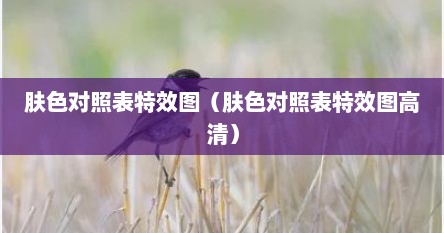 肤色对照表特效图（肤色对照表特效图高清）