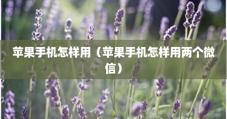 苹果手机怎样用（苹果手机怎样用两个微信）
