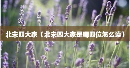 北宋四大家（北宋四大家是哪四位怎么读）