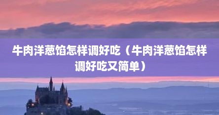 牛肉洋葱馅怎样调好吃（牛肉洋葱馅怎样调好吃又简单）