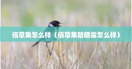 佰草集怎么样（佰草集防晒霜怎么样）