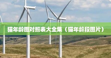 猫年龄图对照表大全集（猫年龄段图片）