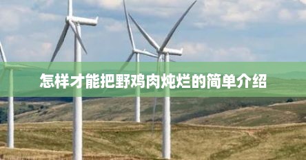 怎样才能把野鸡肉炖烂的简单介绍