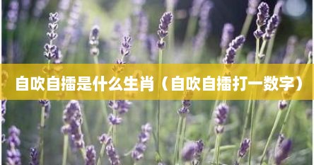 自吹自擂是什么生肖（自吹自擂打一数字）
