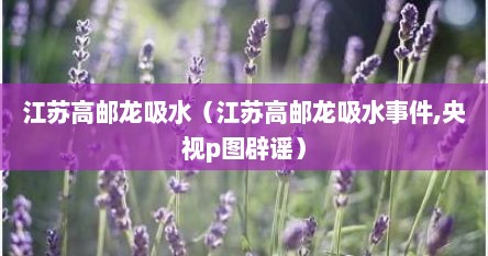 江苏高邮龙吸水（江苏高邮龙吸水事件,央视p图辟谣）