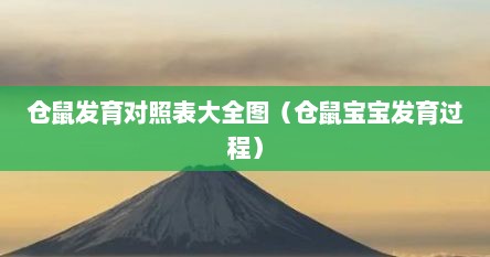 仓鼠发育对照表大全图（仓鼠宝宝发育过程）