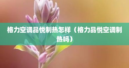 格力空调品悦制热怎样（格力品悦空调制热吗）