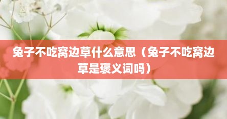 兔子不吃窝边草什么意思（兔子不吃窝边草是褒义词吗）