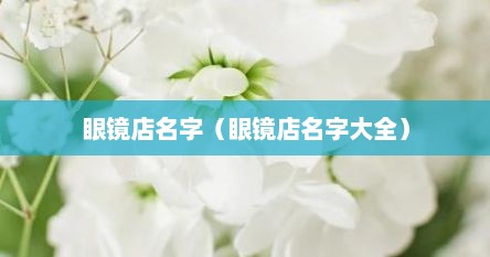 眼镜店名字（眼镜店名字大全）