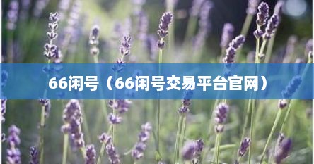 66闲号（66闲号交易平台官网）
