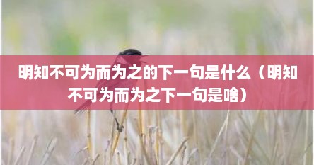 明知不可为而为之的下一句是什么（明知不可为而为之下一句是啥）