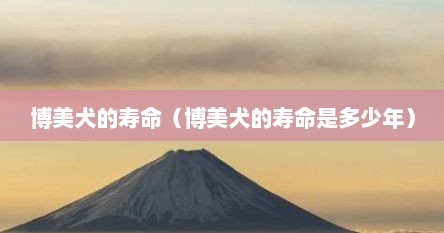 博美犬的寿命（博美犬的寿命是多少年）