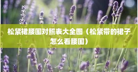 松紧裙腰围对照表大全图（松紧带的裙子怎么看腰围）