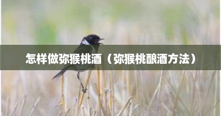 怎样做弥猴桃酒（弥猴桃酿酒方法）