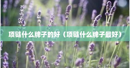 项链什么牌子的好（项链什么牌子最好）