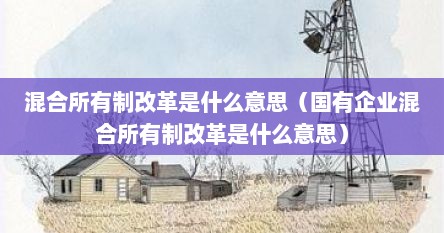 混合所有制改革是什么意思（国有企业混合所有制改革是什么意思）