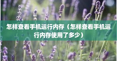 怎样查看手机运行内存（怎样查看手机运行内存使用了多少）