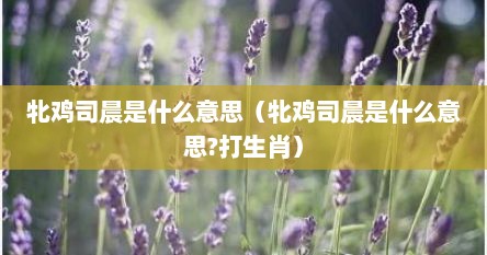 牝鸡司晨是什么意思（牝鸡司晨是什么意思?打生肖）