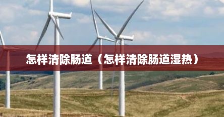 怎样清除肠道（怎样清除肠道湿热）