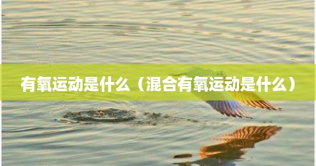 有氧运动是什么（混合有氧运动是什么）