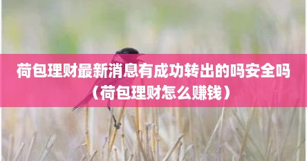 荷包理财最新消息有成功转出的吗安全吗（荷包理财怎么赚钱）