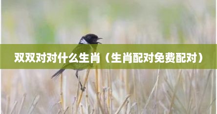 双双对对什么生肖（生肖配对免费配对）