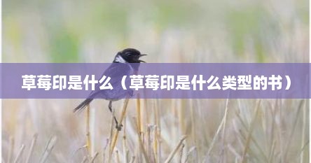 草莓印是什么（草莓印是什么类型的书）