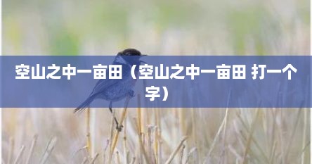空山之间一亩田是什么字（空山之间一亩田打一字）