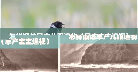 怎样锻炼早产儿眼追物（早产宝宝追视）